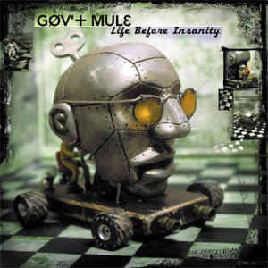 Gov't Mule - Life Before Insanity | Music On Vinyl (MOVLP706)