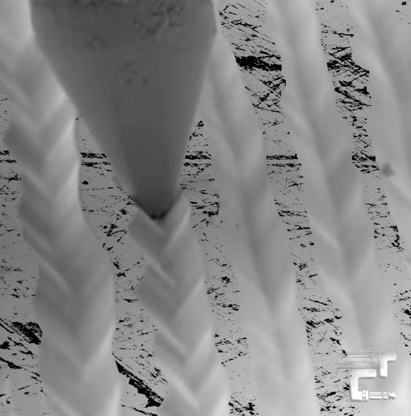 Entropia Techno Department , Kenny Dahl - Eclectic Limited 002 | Eclectic Limited (ECLLTD002)