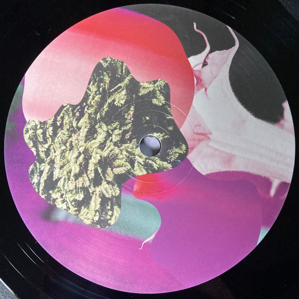 Teebs - Collections | Brainfeeder (BF026)