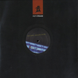 Ion Ludwig - Gaugamela Incode | alphahouse (Alpha 04)