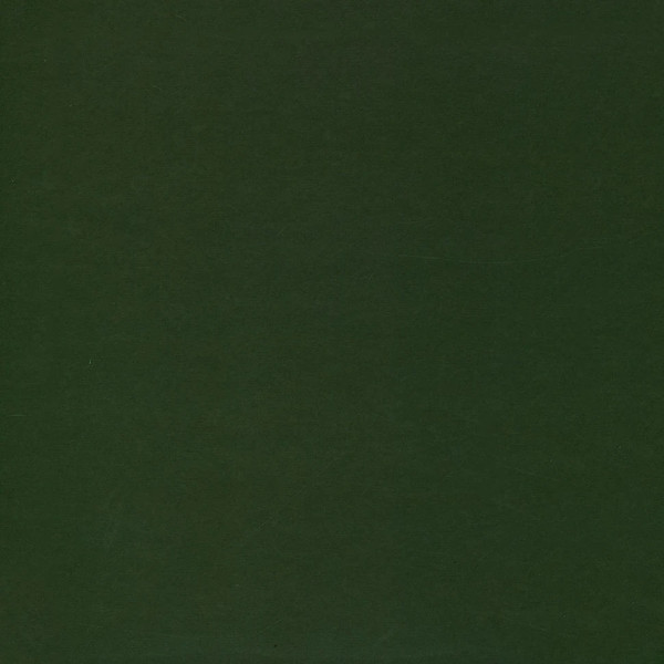 Enzo Leep - Concrete Jungle | Dias De Campo Records (DDC005) - 2