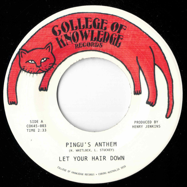 Let Your Hair Down - Pingu's Anthem / Gronk | College Of Knowledge Records (COK45-003)