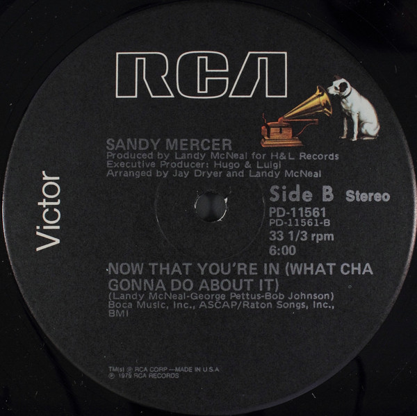 Sandy Mercer - Work Your Body (Work That Body) | RCA Victor (PD-11561) - 3