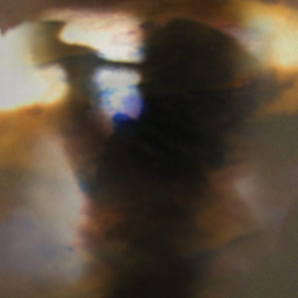 Animal Collective - Fall Be Kind | Domino (RUG341CD)