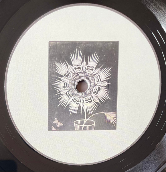 Various - LSD046 | Light Sounds Dark (LSD046) - 3