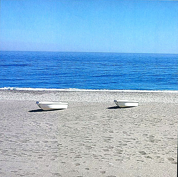 My Friend Dario - Senza Estate | Hell Yeah Recordings (HYR7289)