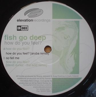 Fish Go Deep - How Do You Feel? | Elevation Recordings (ER003) - main