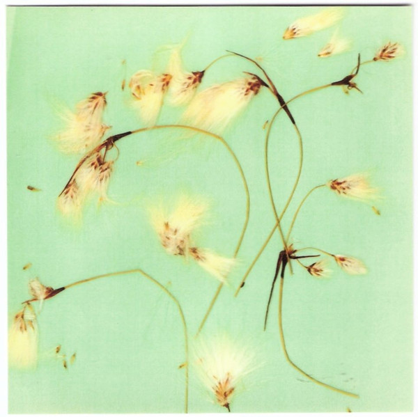 John Kilbey - Catching Some Z's CD | Karmic Hit (KH024) - main