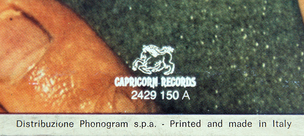 Sea Level - Sea Level | Capricorn Records (2429 150 A) - 2