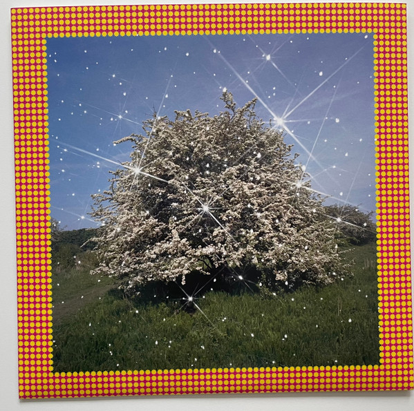 Caribou - Honey | City Slang (SLANG50570LP) - 3 Caribou - Honey | City Slang (SLANG50570LP) - 3