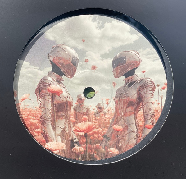 Terraflow - Mystic Vista | The Comfort (CMF004)