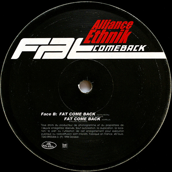 Alliance Ethnik - Fat Comeback | Delabel (7243 8 95546 6 3) - 4