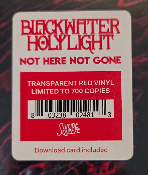 Blackwater Holylight - Not Here Not Gone | Suicide Squeeze (SSQ248) - 3 Blackwater Holylight - Not Here Not Gone | Suicide Squeeze (SSQ248) - 3