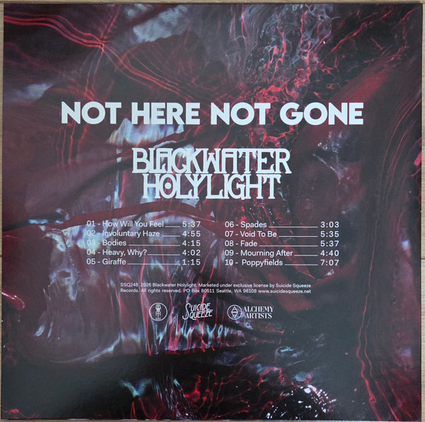 Blackwater Holylight - Not Here Not Gone | Suicide Squeeze (SSQ248) - 2 Blackwater Holylight - Not Here Not Gone | Suicide Squeeze (SSQ248) - 2