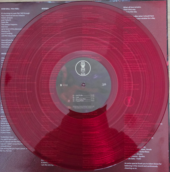 Blackwater Holylight - Not Here Not Gone | Suicide Squeeze (SSQ248) - 4 Blackwater Holylight - Not Here Not Gone | Suicide Squeeze (SSQ248) - 4