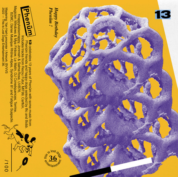 Various - 13 | Lost Dogs Entertainment (THIS IS LOST DOGS ENTERTAINMENT 036)