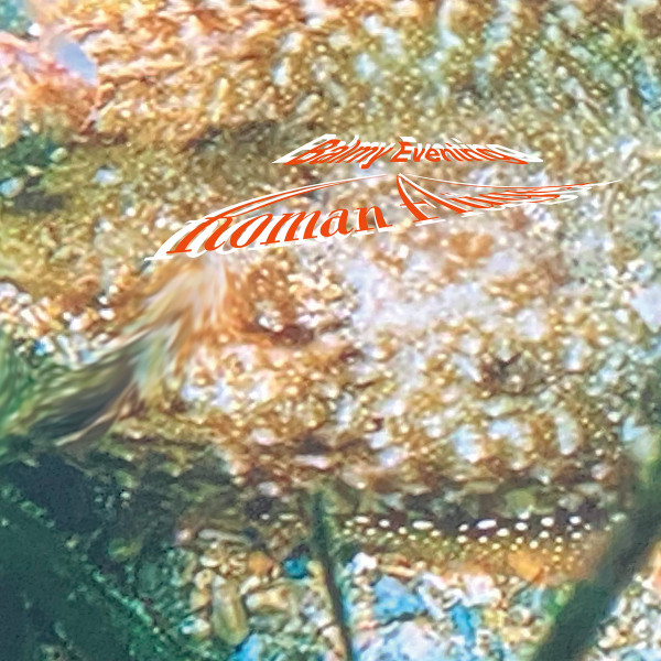 Roman Flügel - Balmy Evening | Mule Musiq (Mule Musiq 283) Roman Flügel - Balmy Evening | Mule Musiq (Mule Musiq 283)