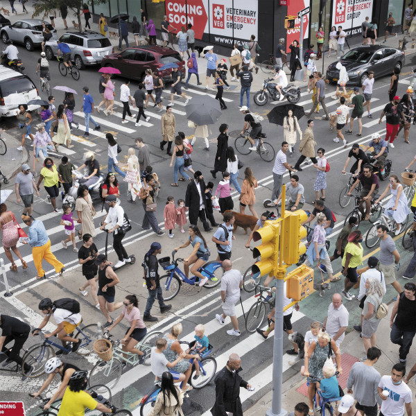 Facta - Gulp | Wisdom Teeth (WSDMLP010)