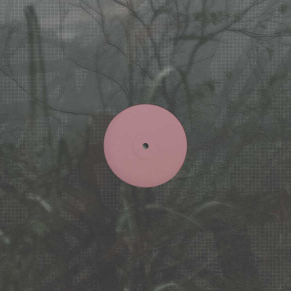 Alien D - For the Early Hours of a World in Bloom | Theory Therapy (TT010)