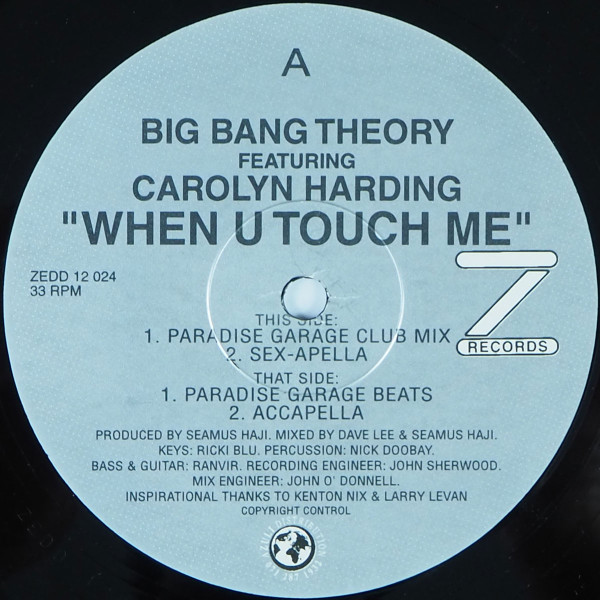 Big Bang Theory Featuring Carolyn Harding - When U Touch Me | Z Records (ZEDD 12 024) - main