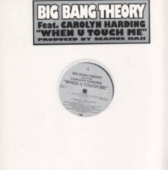 Big Bang Theory Featuring Carolyn Harding - When U Touch Me | Z Records (ZEDD 12 024) - 3