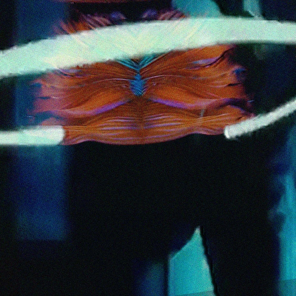 Brayan Valenzuela - Mi Pez Murió Anoche | Detroit Underground (DETUNDLTD110)