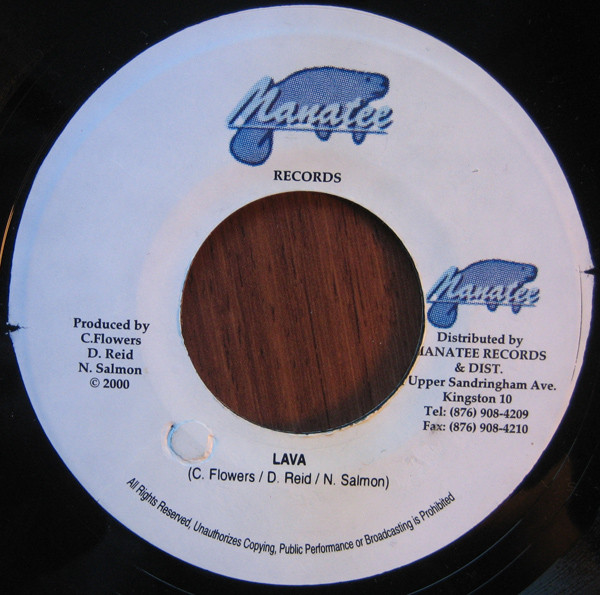 Anthony B - Never Never | Manatee Records (none) - 2