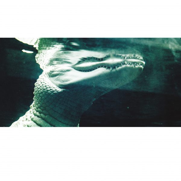 Ancient Methods - The Asking Breath Comes To Each | Candela Rising (CAN008)