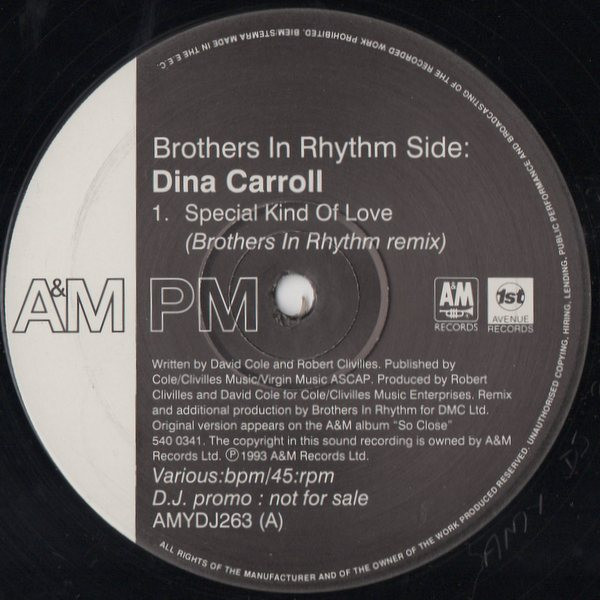 Dina Carroll - Special Kind Of Love (Mixed By Brothers In Rhythm) / Express (West End Mix) / Ain't No Man (West End Remix) | A&M PM (AMYDJ263)