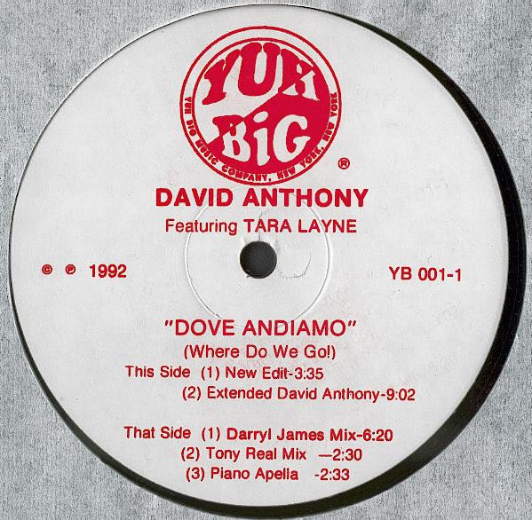 David Anthony Featuring Tara Layne - Dove Andiamo (Where Do We Go!) | Yuh Big (YB 001-1)