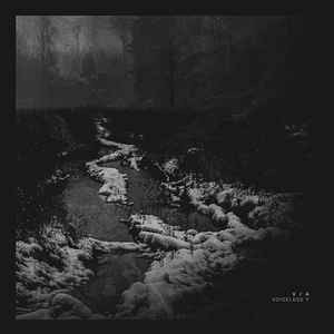 Various - Voiceless Y | Analogical Force (AF005Y)