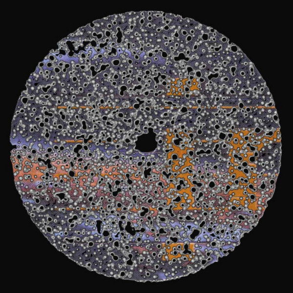 Leo - Dissipating Heavily | Youth (Y22TH)