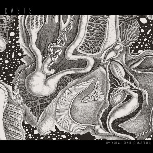 cv313 - Dimensional Space (Remastered) | echospace [detroit] (CV313LP)