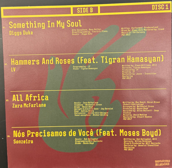 Various - Twenty Years Deep | Brownswood Recordings (BWOOD0451LP) - 5