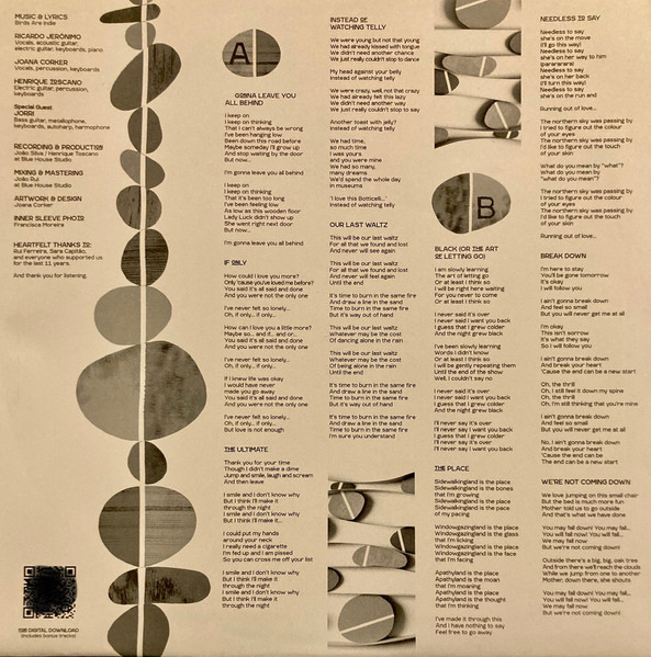 Birds Are Indie - Migrations Travel Diaries #2 | Lux Records (LUXLP048) - 4