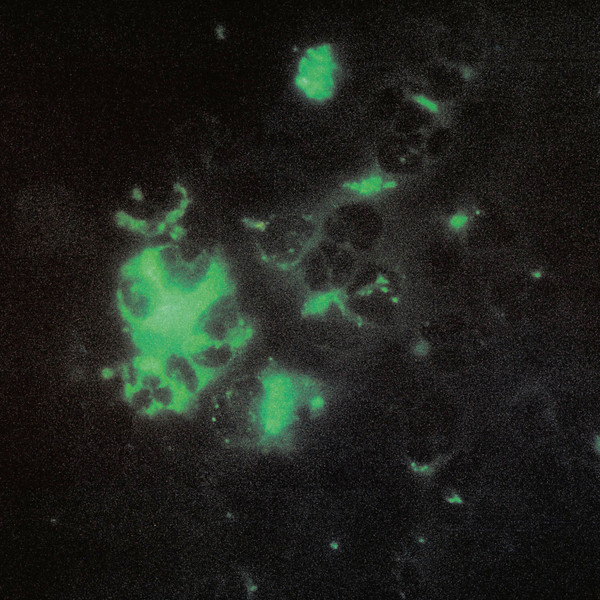 Tecture - Anomalous Materials | Tilt (002)