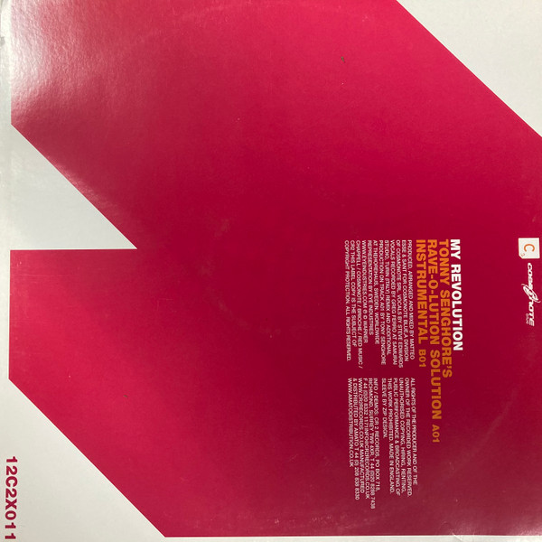 Sant & Matteo Esse Feat. Steve Edwards - My Revolution | CR2 Records (12C2X011) - 2