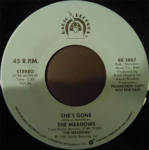 The Meadows - She's Gone | Radio Records (RR 3867)