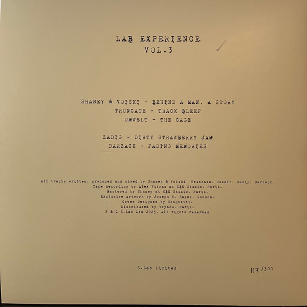Various - Lab Experience Vol. 3 | S.Lab Ltd (SLAB013) - 2