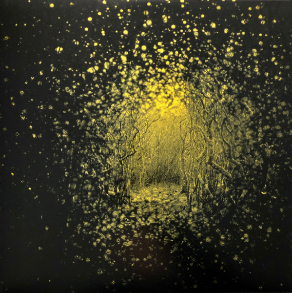 The Antlers - Burst Apart | Frenchkiss Records (FKR048-1)