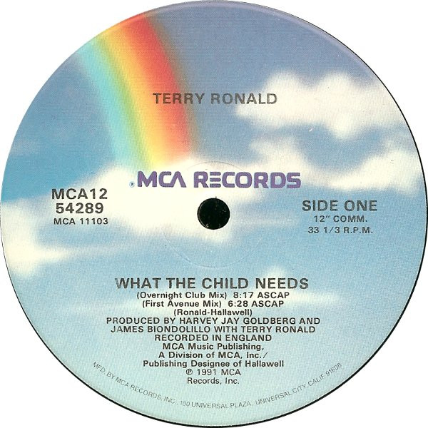 Terry Ronald - What The Child Needs | MCA Records (MCA12 54289) - main