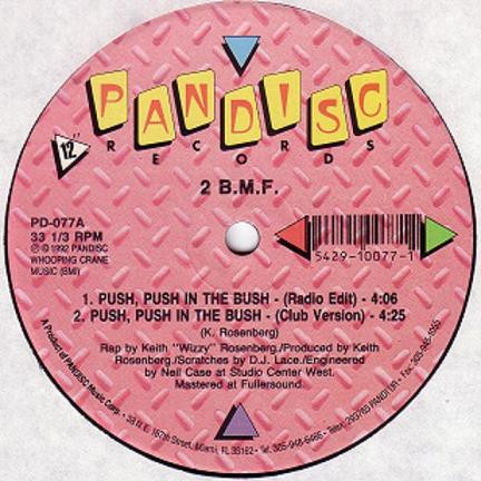 2 BMF - Push, Push In The Bush / Witness The Strength | Pandisc (PD-077)