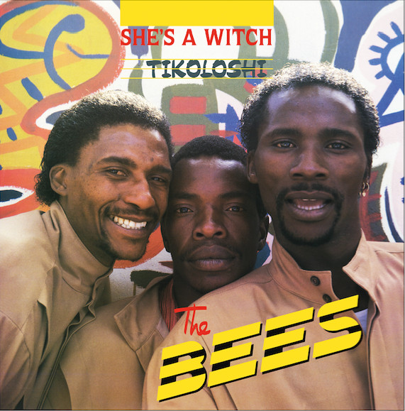 The Bees - She's A Witch - Tikoloshi | Afrosynth Records (AFS042) - main