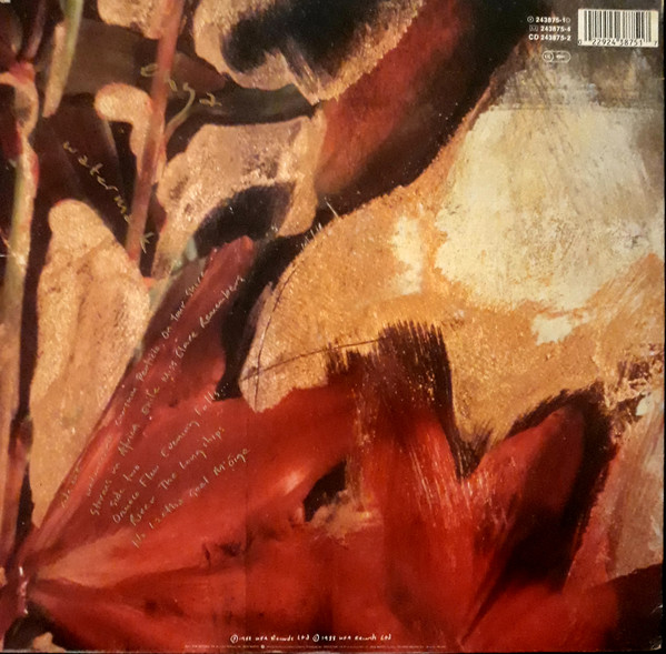 Enya - Watermark | WEA (243875-1) - 2