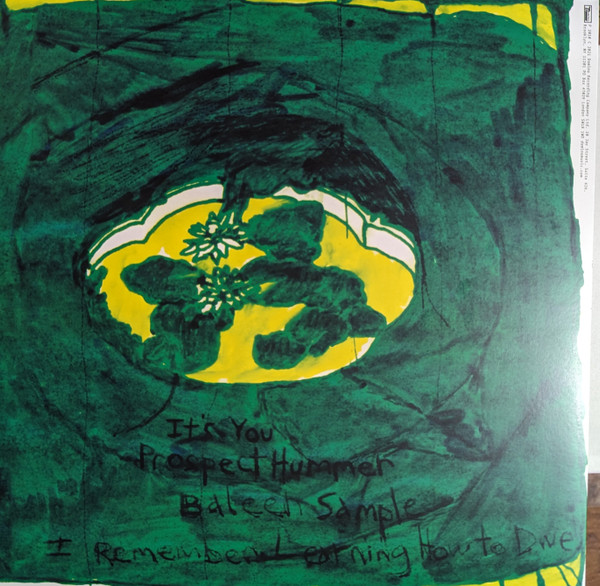 Animal Collective - Prospect Hummer | Domino (AC103T) Animal Collective - Prospect Hummer | Domino (AC103T)