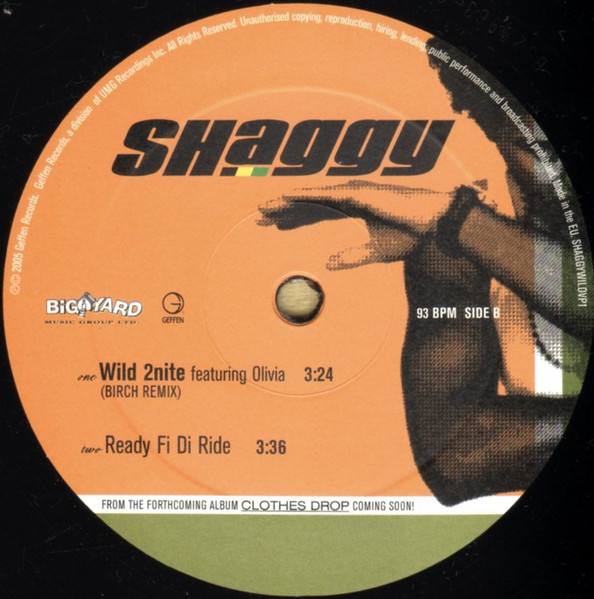 Shaggy Featuring Olivia - Wild 2nite | Geffen Records (SHAGGYWILDVP1) - 4