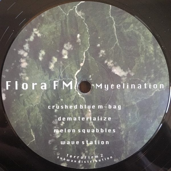 Flora FM - Mycelination | TerraFirm (TerraFirm 2) - 2