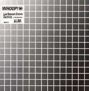 Land Between Grooves - Electricity | Whoop! Records (WH077)