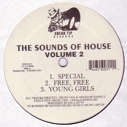 Eddie S. - The Sounds Of House Volume 2 | Sneak Tip Records (STEP-031) - 2