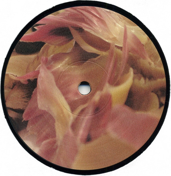 Ricardo Villalobos - Alcachofa | Playhouse (PLAY083) - 4